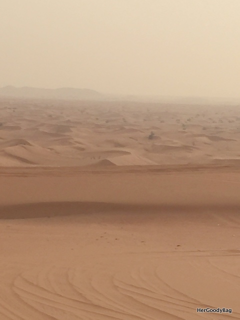 Views from the Desert